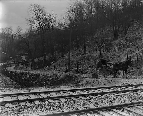 Turkey Hollow Crossing