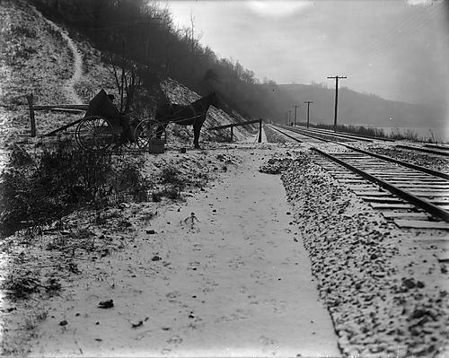 Turkey Hollow Crossing