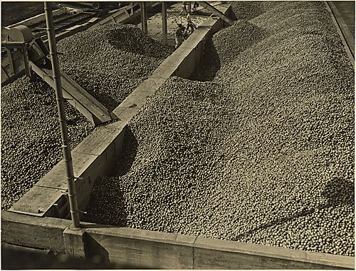 (Industry - Apple Plant)
