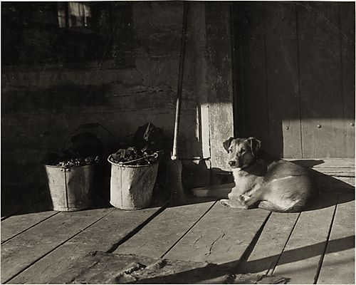 (Rural Pennsylvania: Coal Buckets and Dog on Porch)