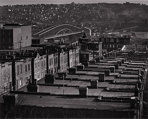 (Overview: Housing, Flat Roof Tops)