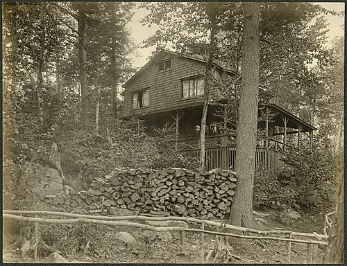 Summer Cabin