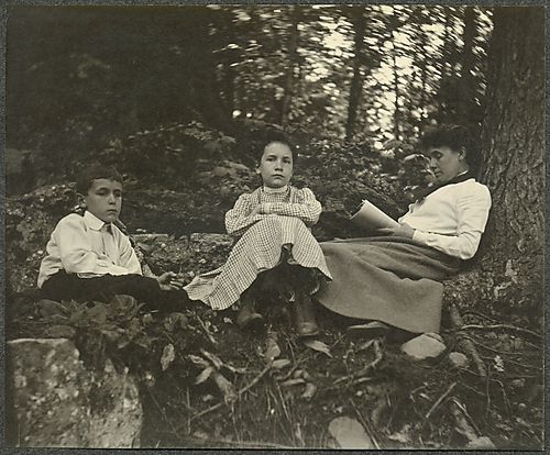 In the Woods