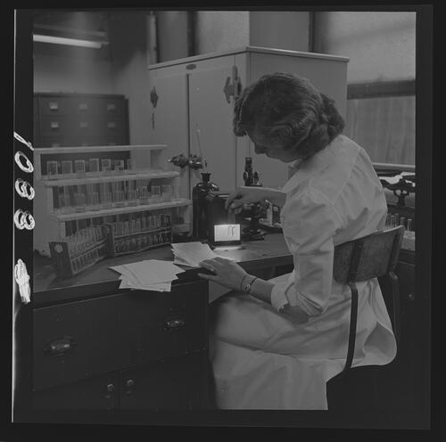 Worker Examining Vials in Diabetic Laboratory