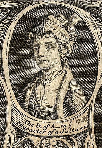 The D. of A. in the Character of a Sultana