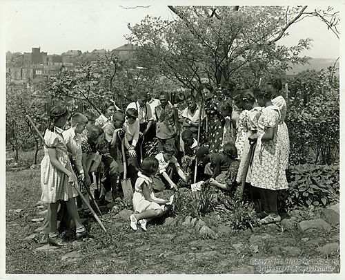 Pittsburgh Public School students Gardening