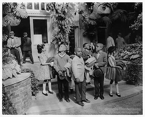 Enrichment Trip to Flower Show