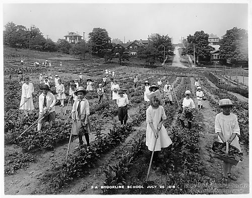 Brookline School Garden