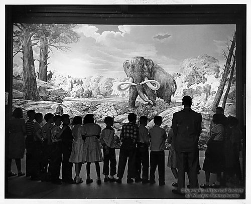 Hall of Mammal Evolution