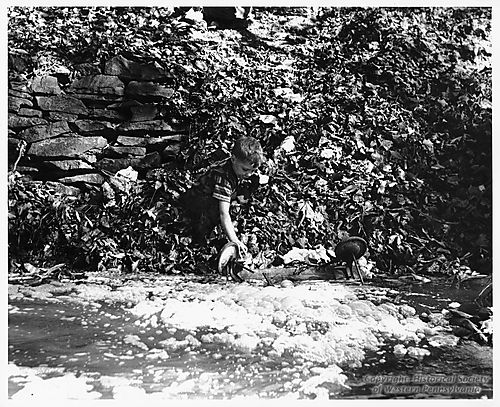 Stream Pollution