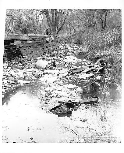 Castle Shannon stream Pollution
