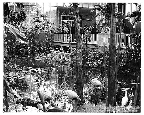 Interior of the Aviary-Conservatory Addition