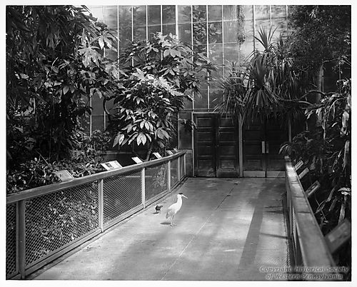 National Aviary