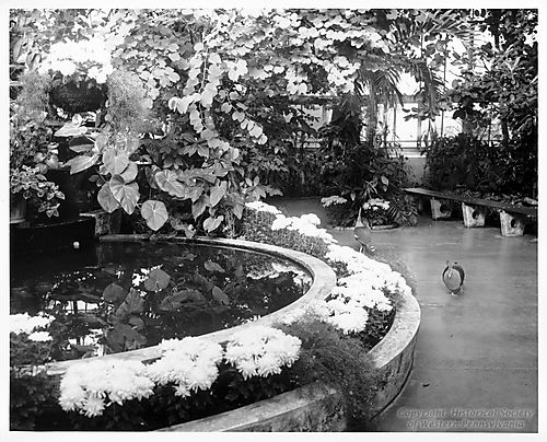 Interior of the National Aviary