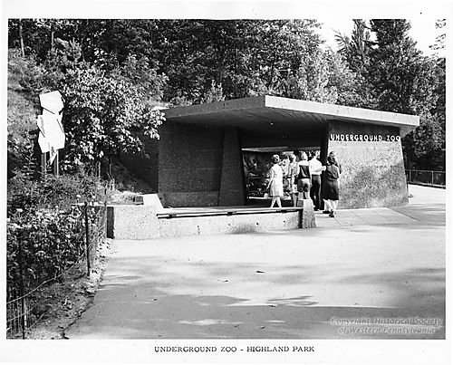 Underground Zoo in Highland Park