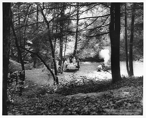 Picnic Scene at North Park