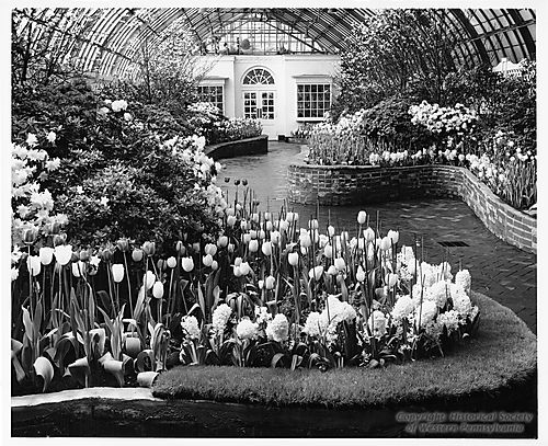 Interior view of Phipps Conservatory