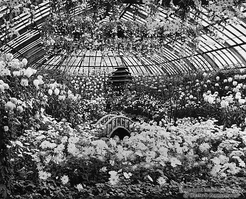 Fall Flower Show at the Phipps Conservatory