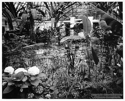 Spring Flower Show at the Phipps Conservatory