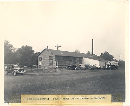 Receiving Station – Showing Empty Cans Returning to Producers