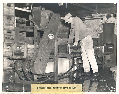 Bob Uffelman with Bottled Milk Conveyor into Cooler