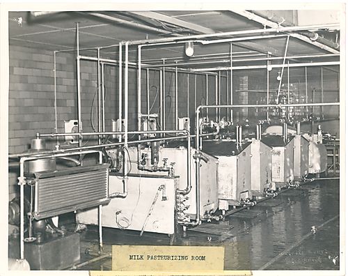 Milk Pasteurizing Room