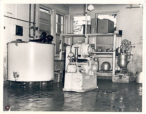 Unidentified (3)
