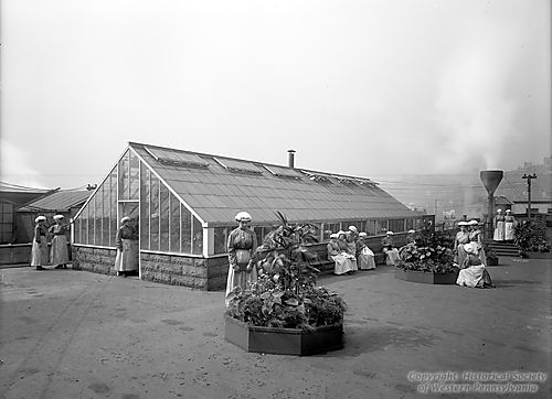Heinz Girl's Roof Garden on Baked Bean Building Roof