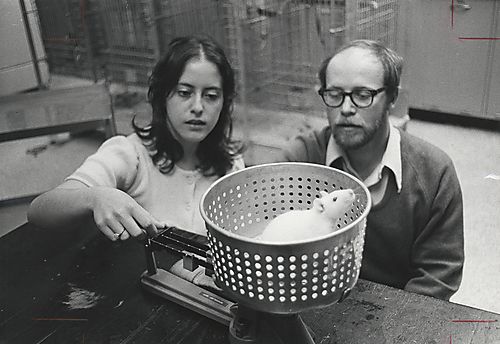 Psychology experiment with Tom Hershberger