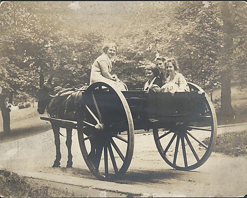 The Wagonette