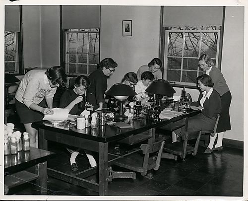 Microcosmic Exploration