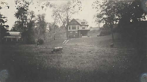 Lindsay Hall