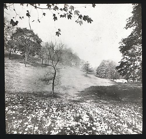 "Pennsylvania College for Women, Pittsburgh, Pa. Campus." View from bottom of Woodland Hill.